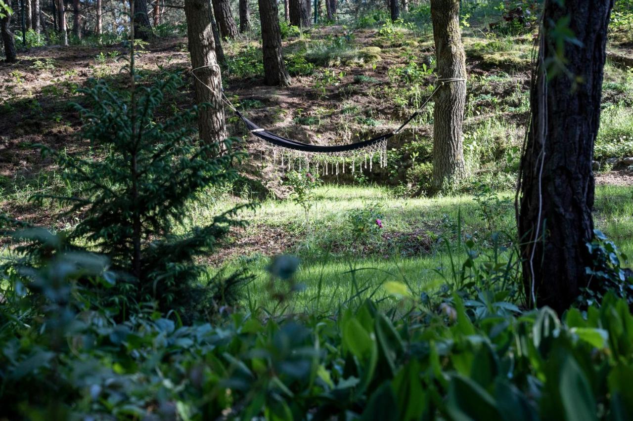 Uroczy Maly Domek Na Lesnej Dzialce - Losiowka Losie Exterior foto