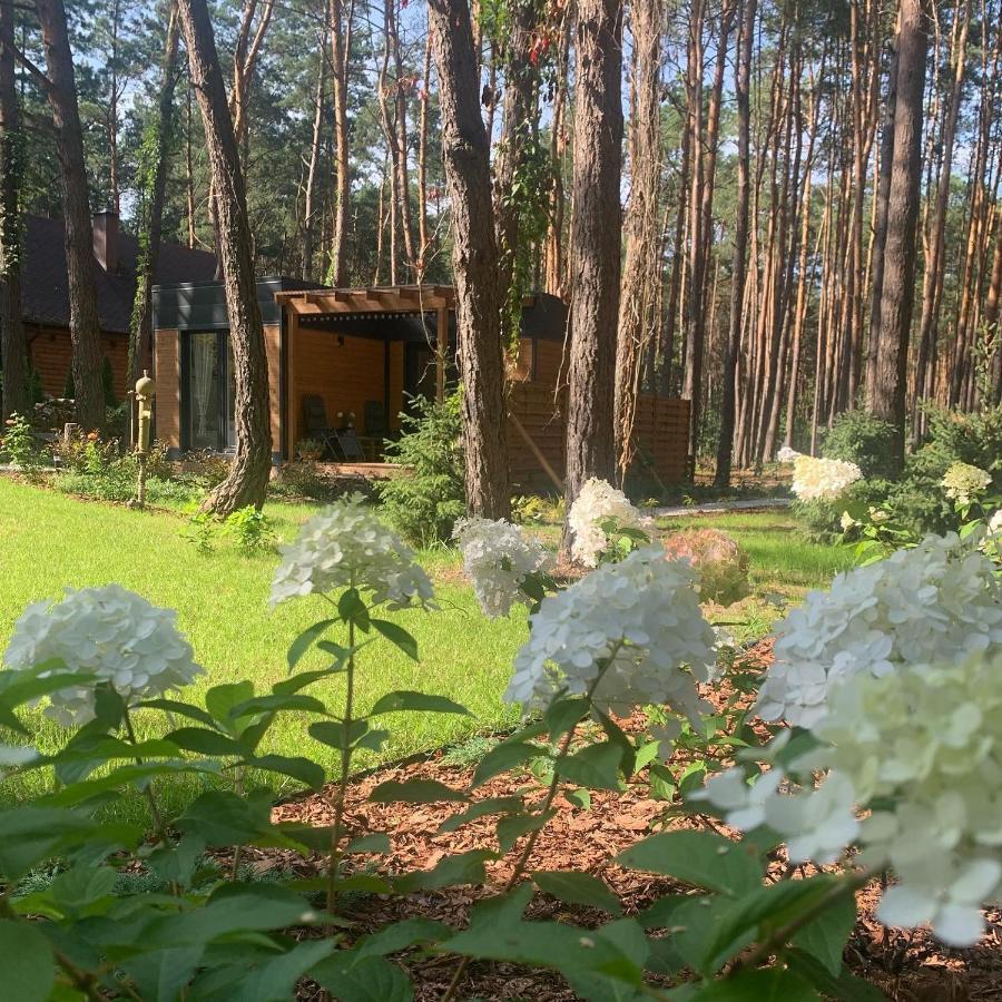 Uroczy Maly Domek Na Lesnej Dzialce - Losiowka Losie Exterior foto